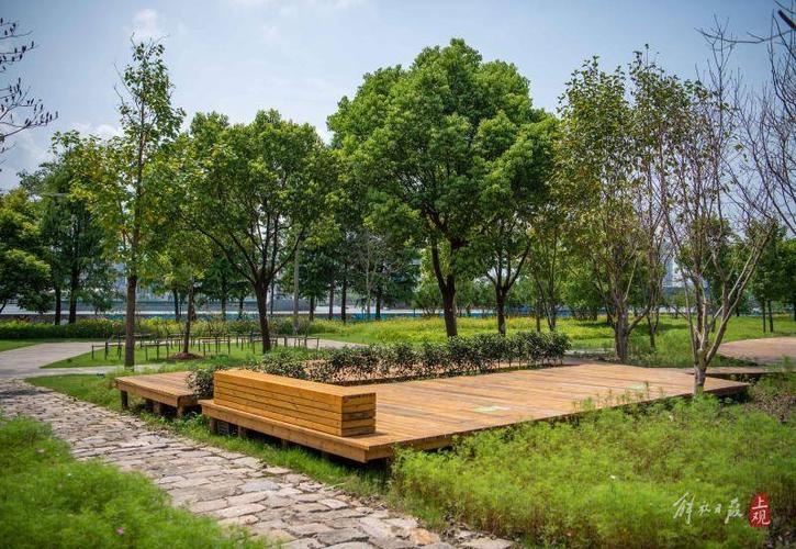 上海黃浦江東岸帳篷營地免費開放 都市中的自然棲息地